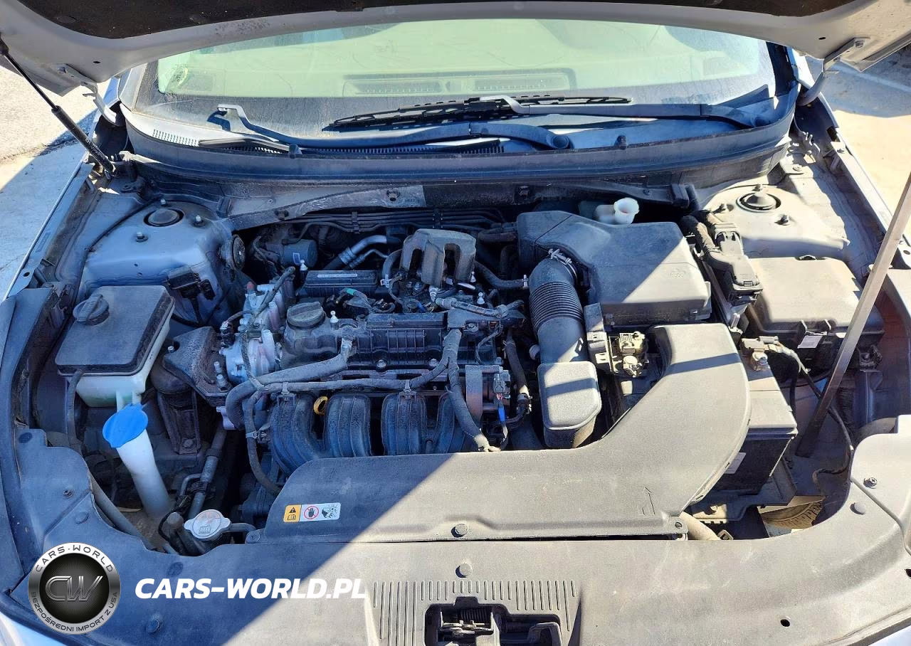 2016 Hyundai Sonata Base VIN:5NPE24AF9GH395366 - 10