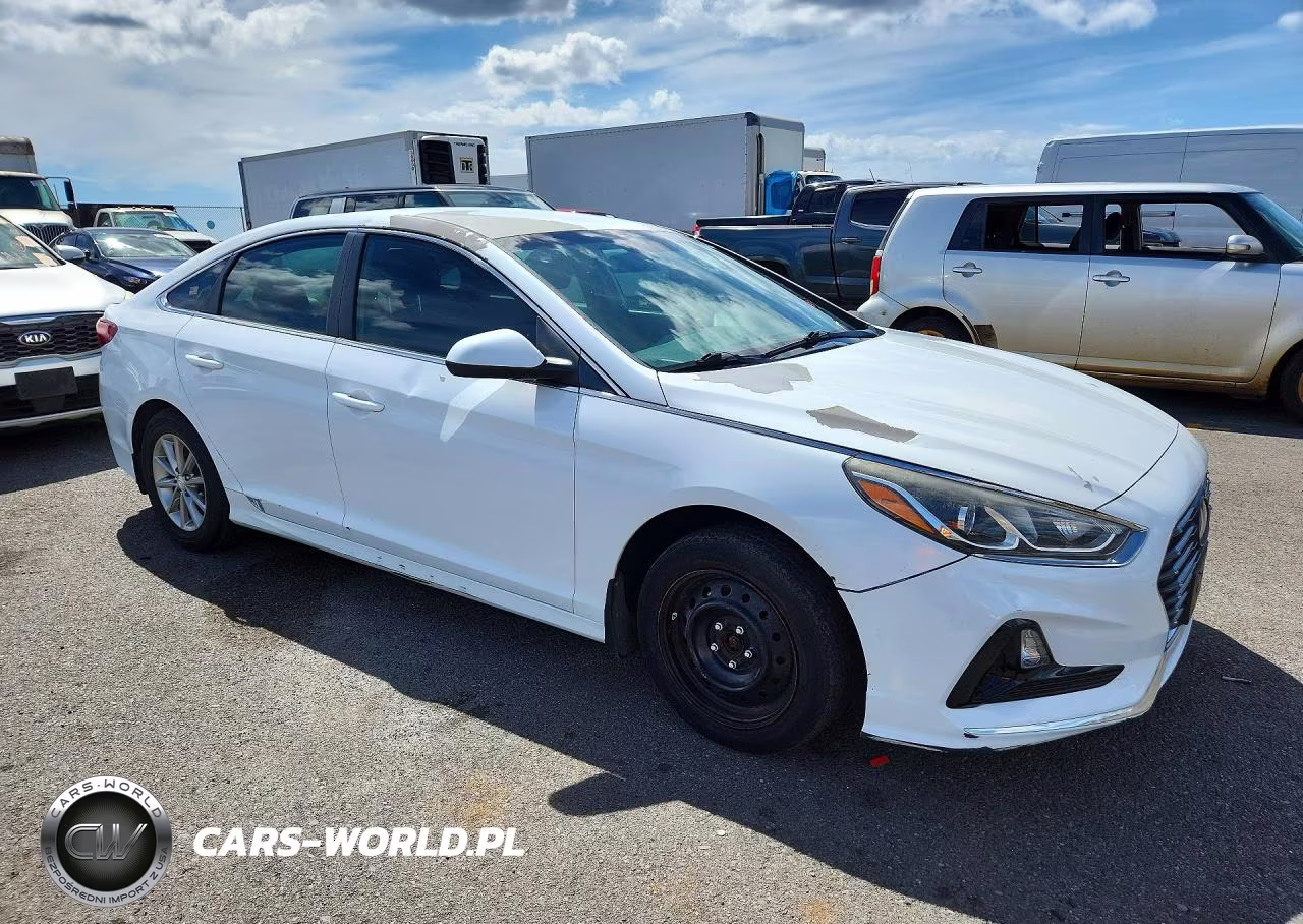 2019 Hyundai Sonata Se VIN:5NPE24AF7KH804179 - 4