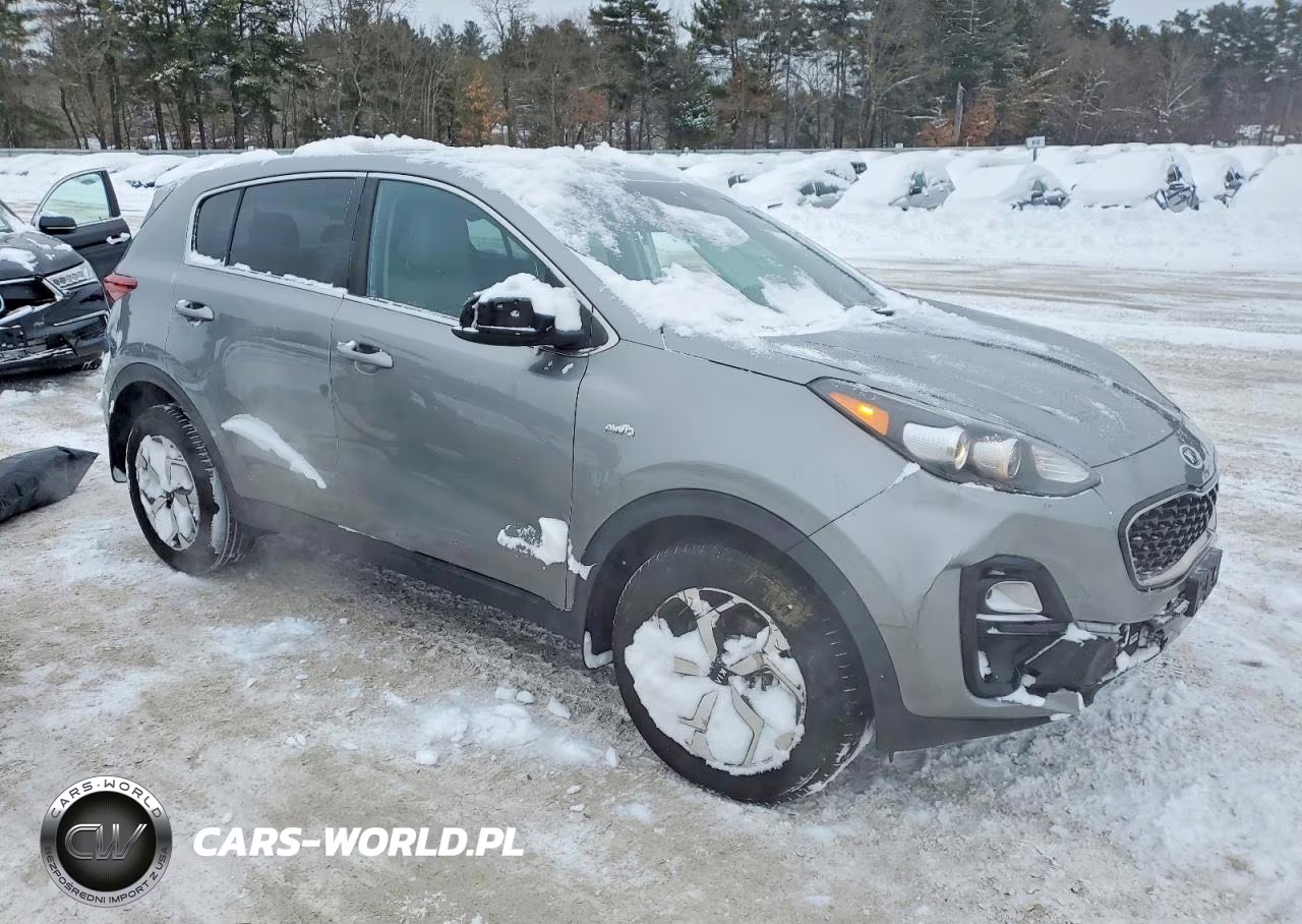2020 Kia Sportage Lx VIN:KNDPMCAC2L7748659 - 4