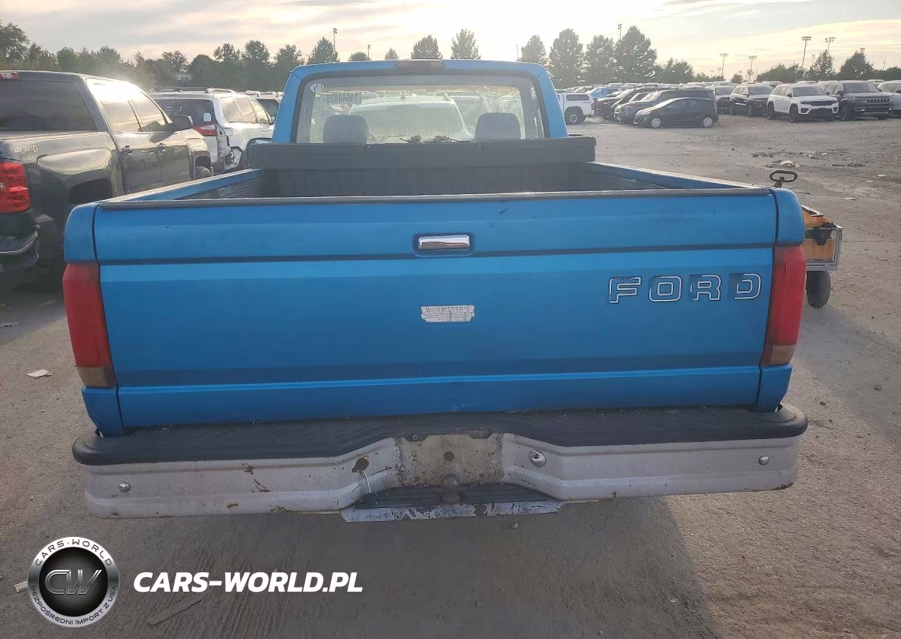 1994 Ford F150 VIN:1FTDF15Y7RNA72561 - 6