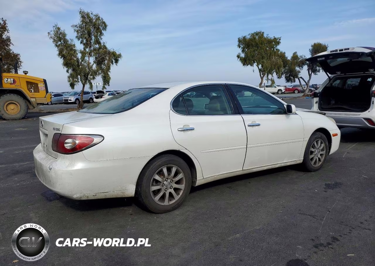 2004 Lexus Es 330 VIN:JTHBA30GX45010868 - 3