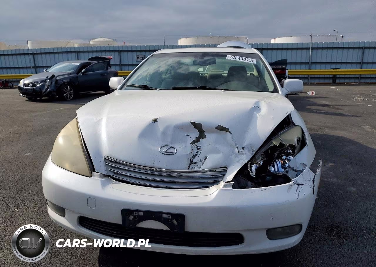 2004 Lexus Es 330 VIN:JTHBA30GX45010868 - 5