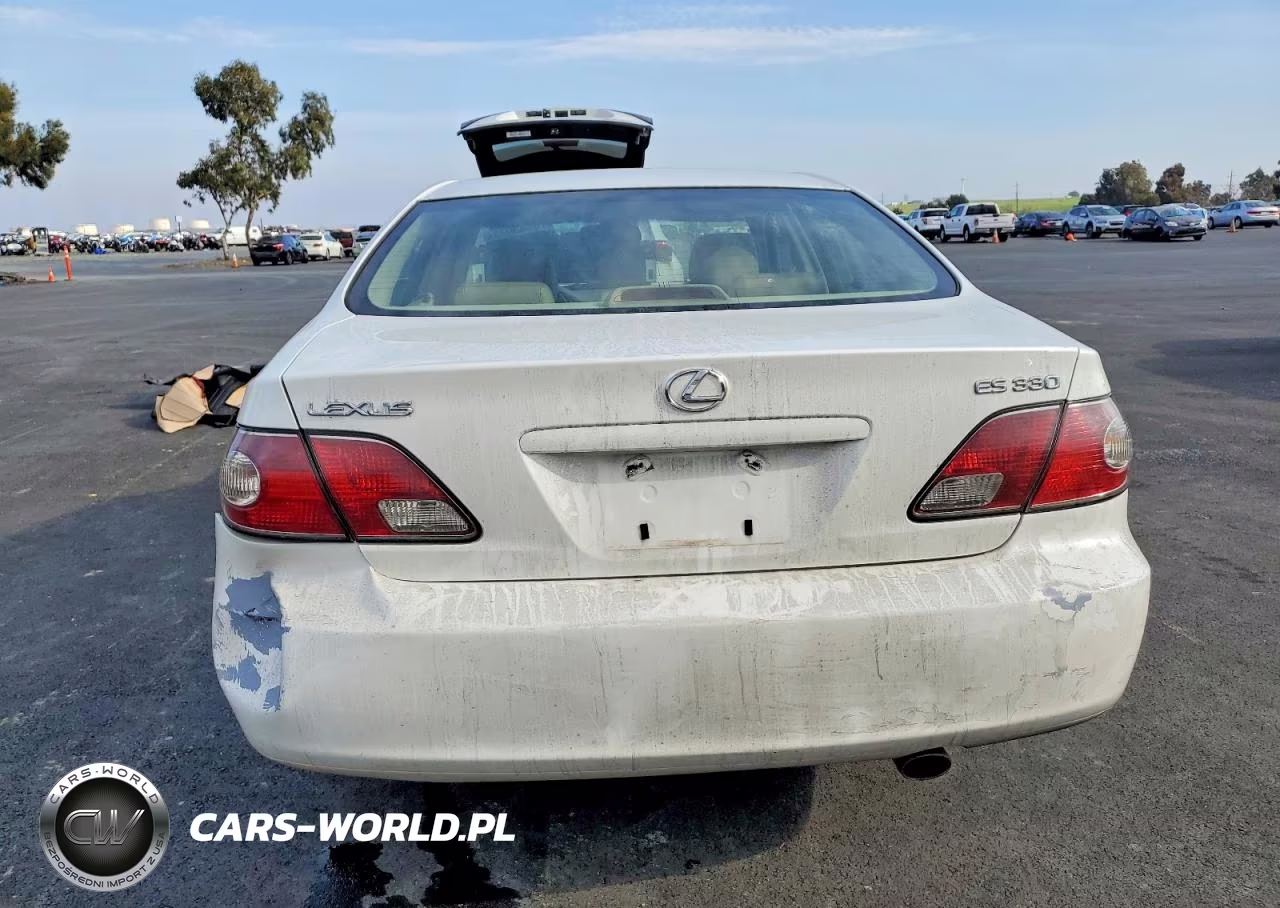 2004 Lexus Es 330 VIN:JTHBA30GX45010868 - 6