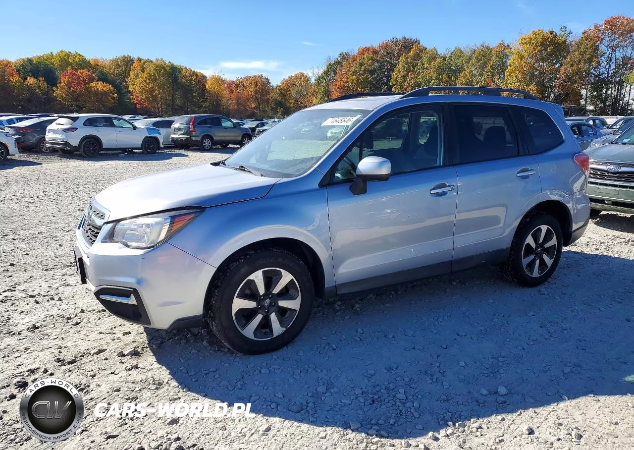 2017 Subaru Forester 2.5I Premium VIN:JF2SJAEC7HH496542 - 1