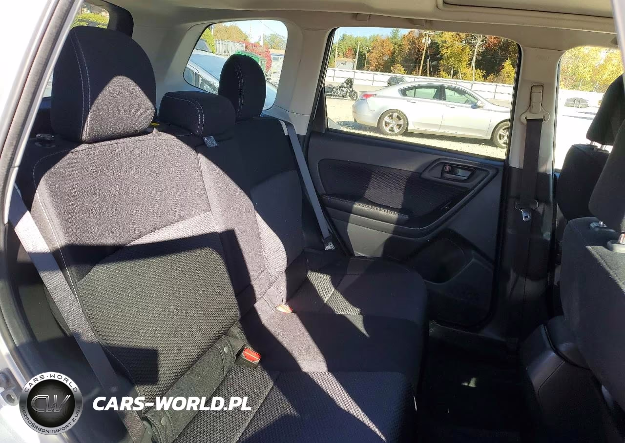2017 Subaru Forester 2.5I Premium VIN:JF2SJAEC7HH496542 - 10