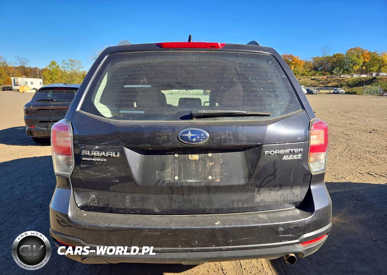 2017 Subaru Forester 2.5I VIN:JF2SJABC7HH566304 - 6
