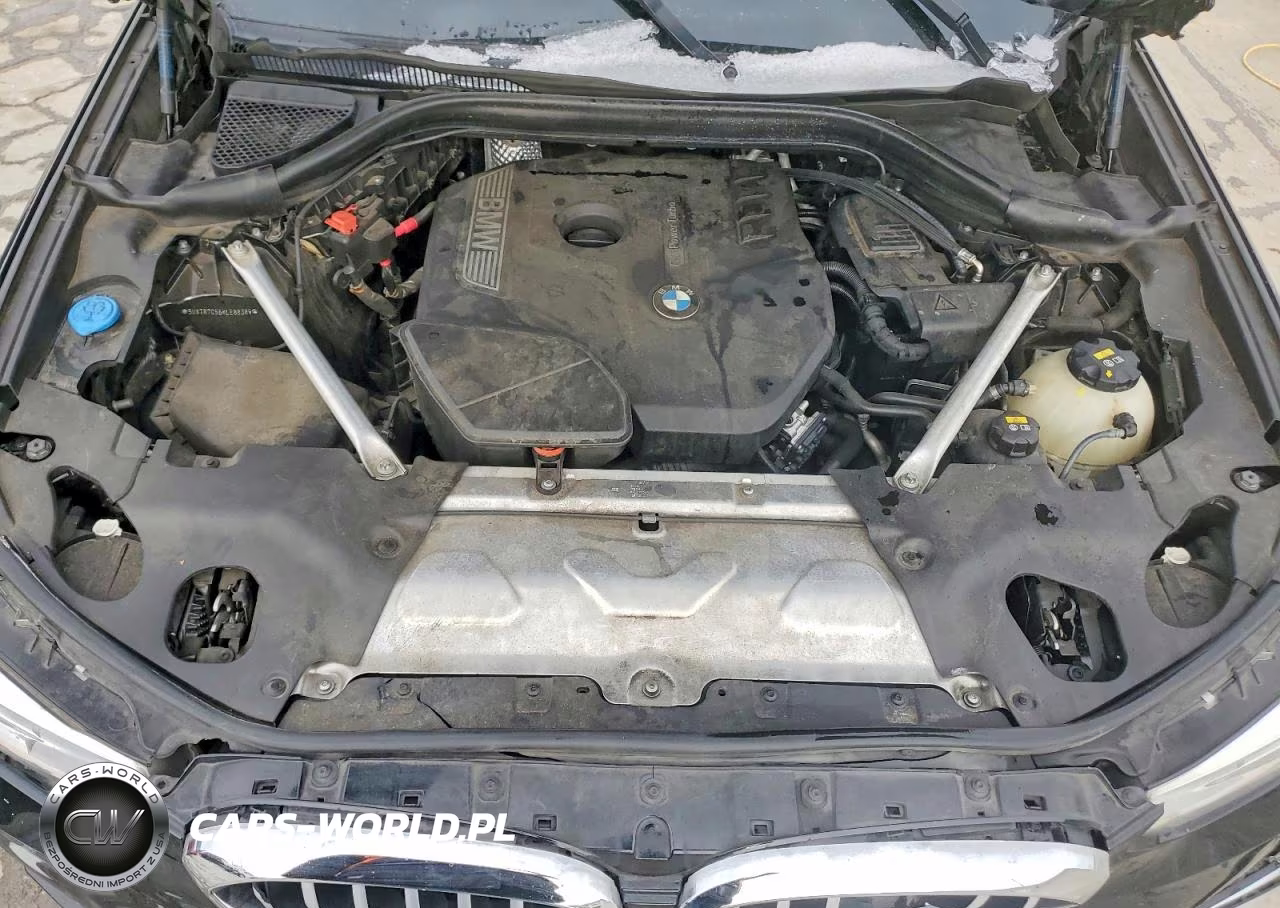 2019 BMW X3 Sdrive30I VIN:5UXTR7C56KLE88389 - 12
