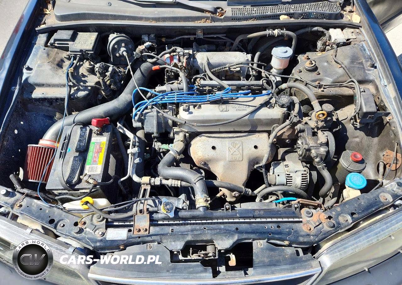1997 Honda Accord Lx VIN:1HGCD7239VA019831 - 11