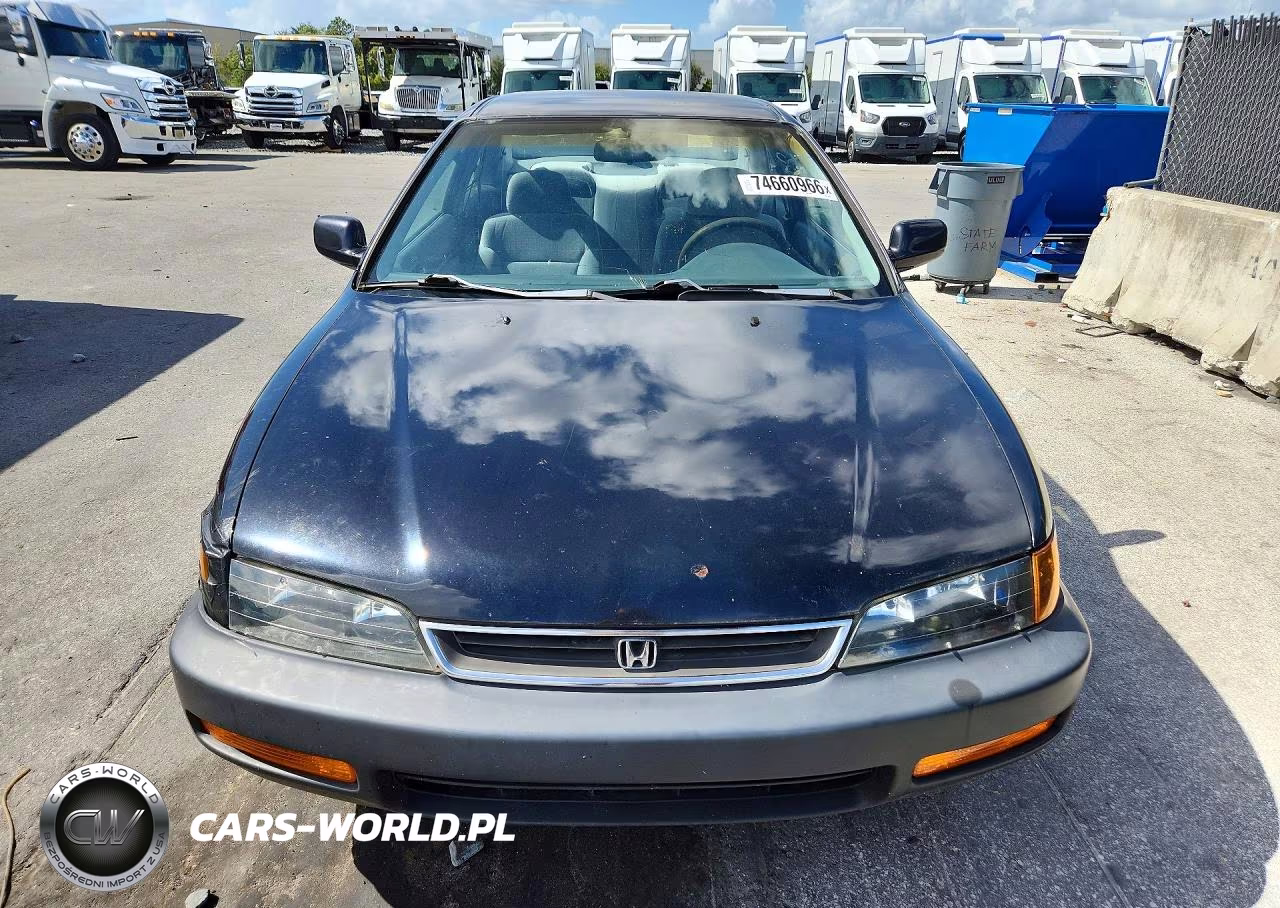 1997 Honda Accord Lx VIN:1HGCD7239VA019831 - 5