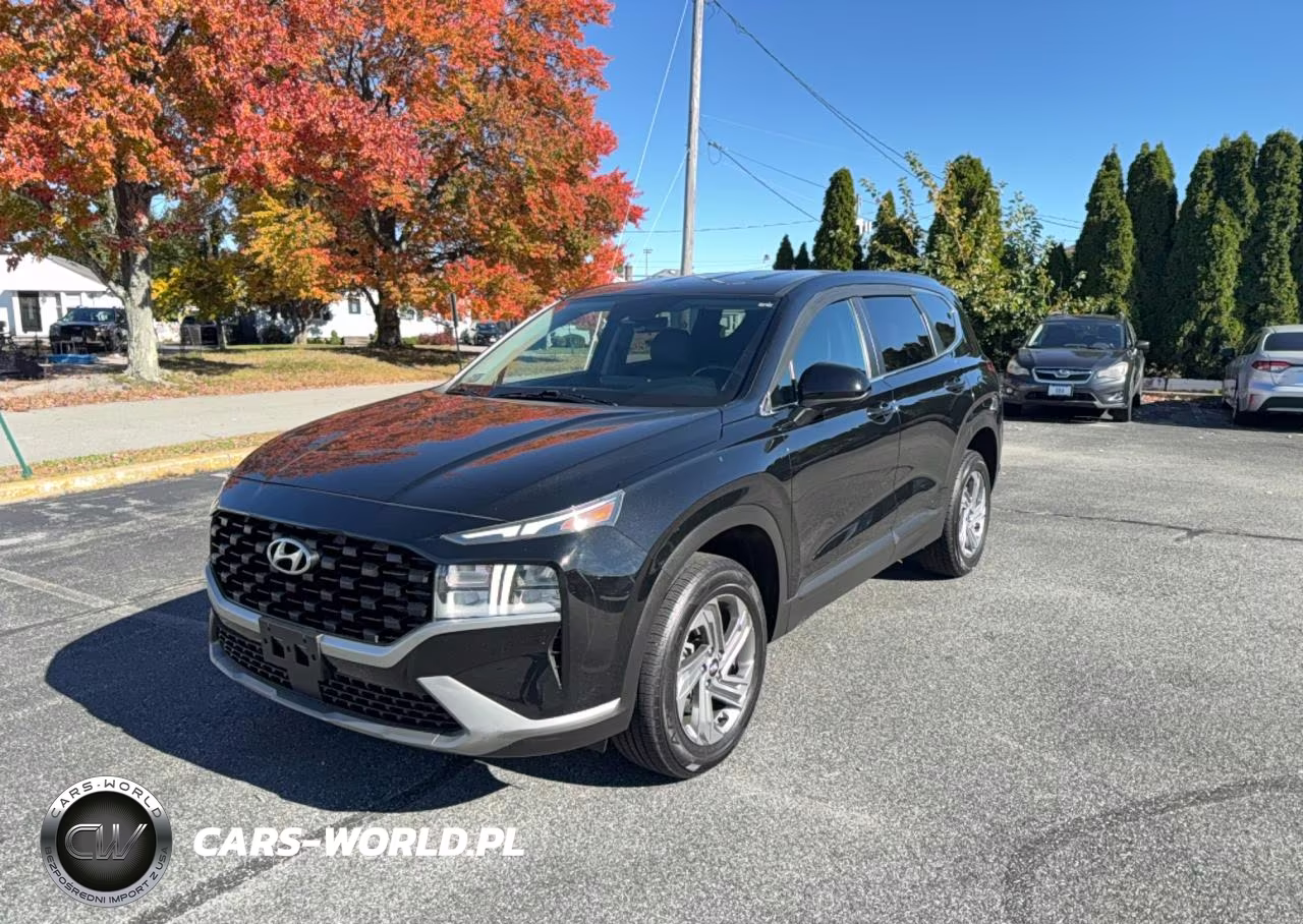 2021 Hyundai Santa Fe Se VIN:5NMS1DAJXMH361021 - 2