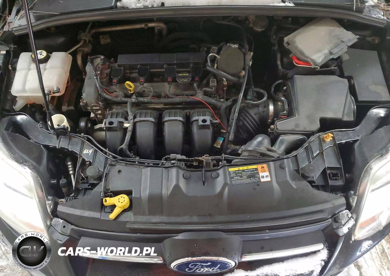 2013 Ford Focus Se VIN:1FADP3F2XDL380787 - 11
