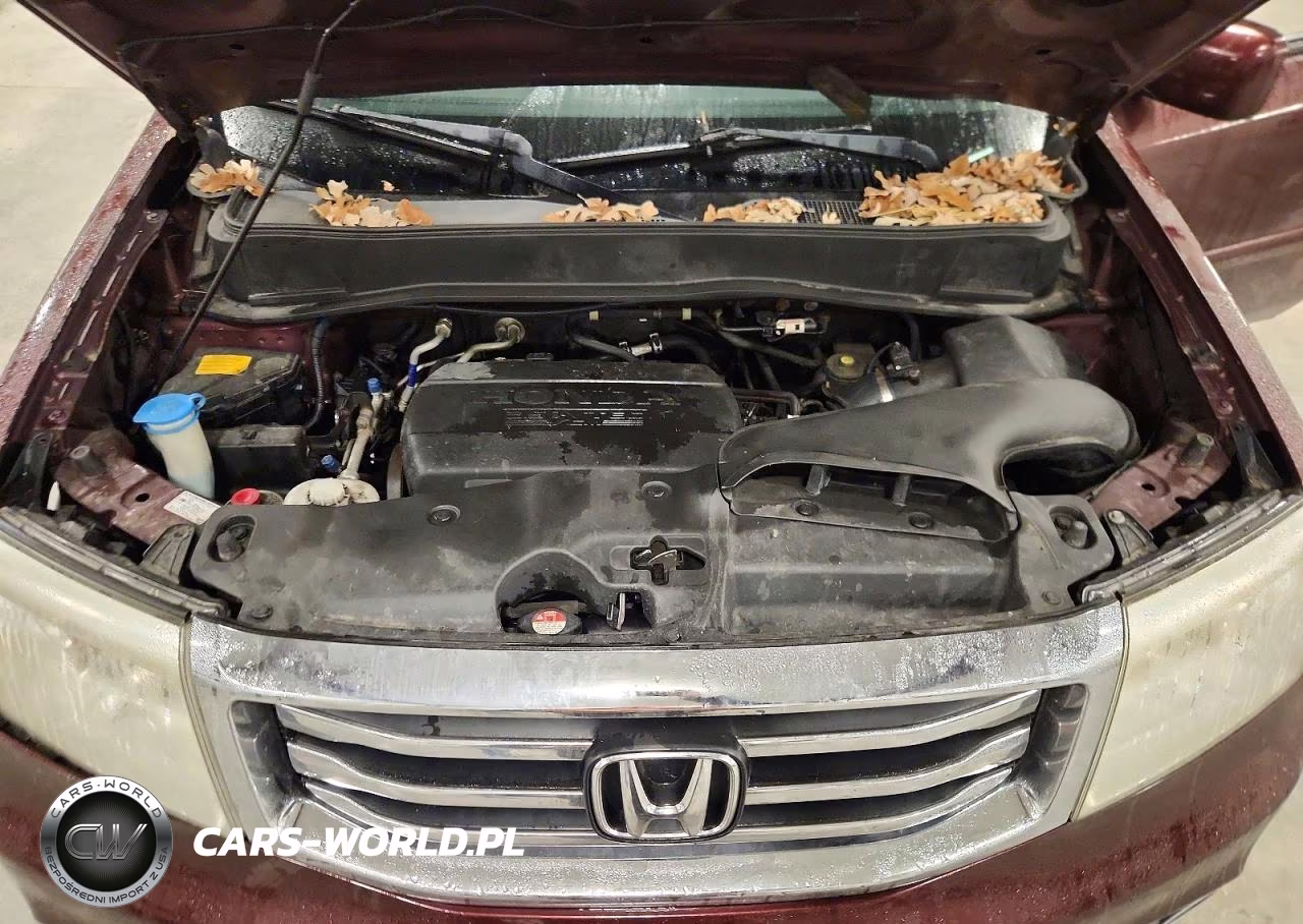 2013 Honda Pilot Exl VIN:5FNYF4H5XDB078222 - 12