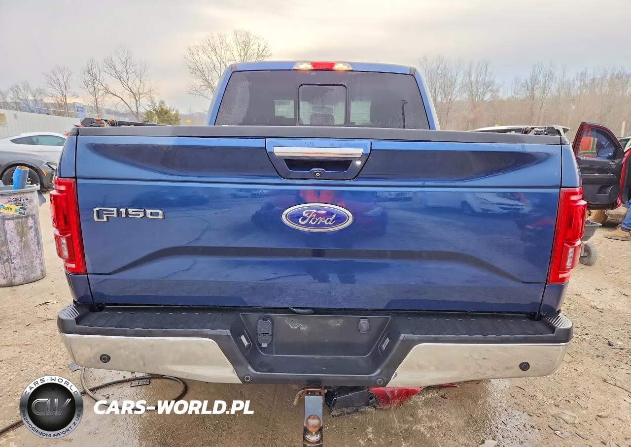 2015 Ford F150 Supercrew VIN:1FTEW1EP1FKD42800 - 6
