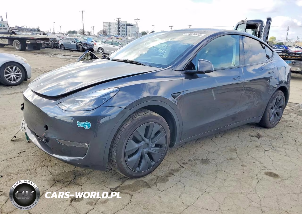 2025 Tesla Model Y