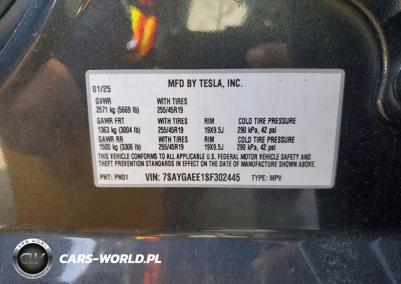 2025 Tesla Model Y VIN:7SAYGAEE1SF302445 - 13