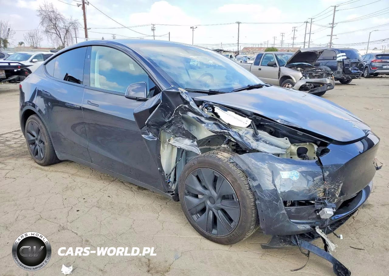 2025 Tesla Model Y VIN:7SAYGAEE1SF302445 - 4