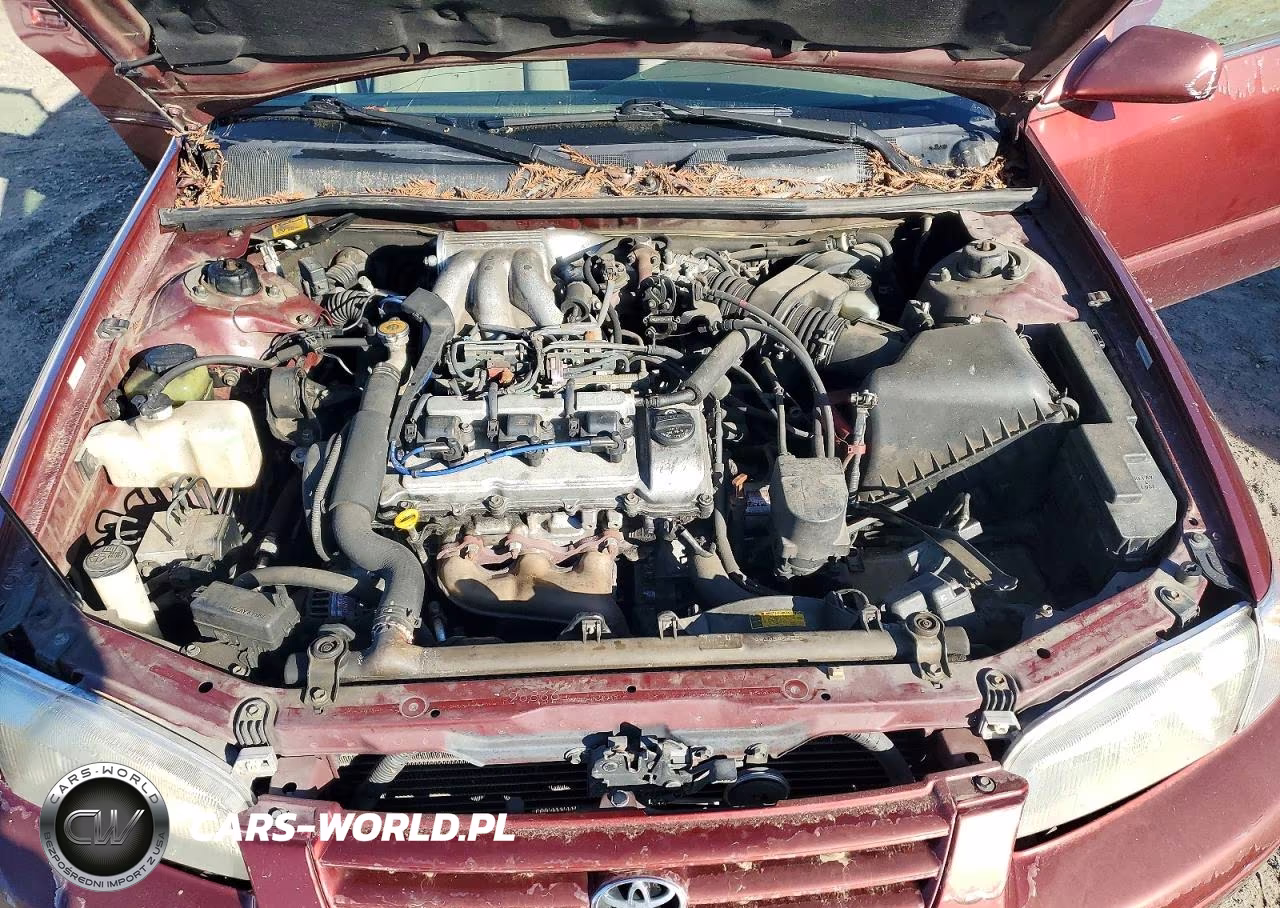 1999 Toyota Camry Le V6 VIN:JT2BF22K2X0166864 - 11
