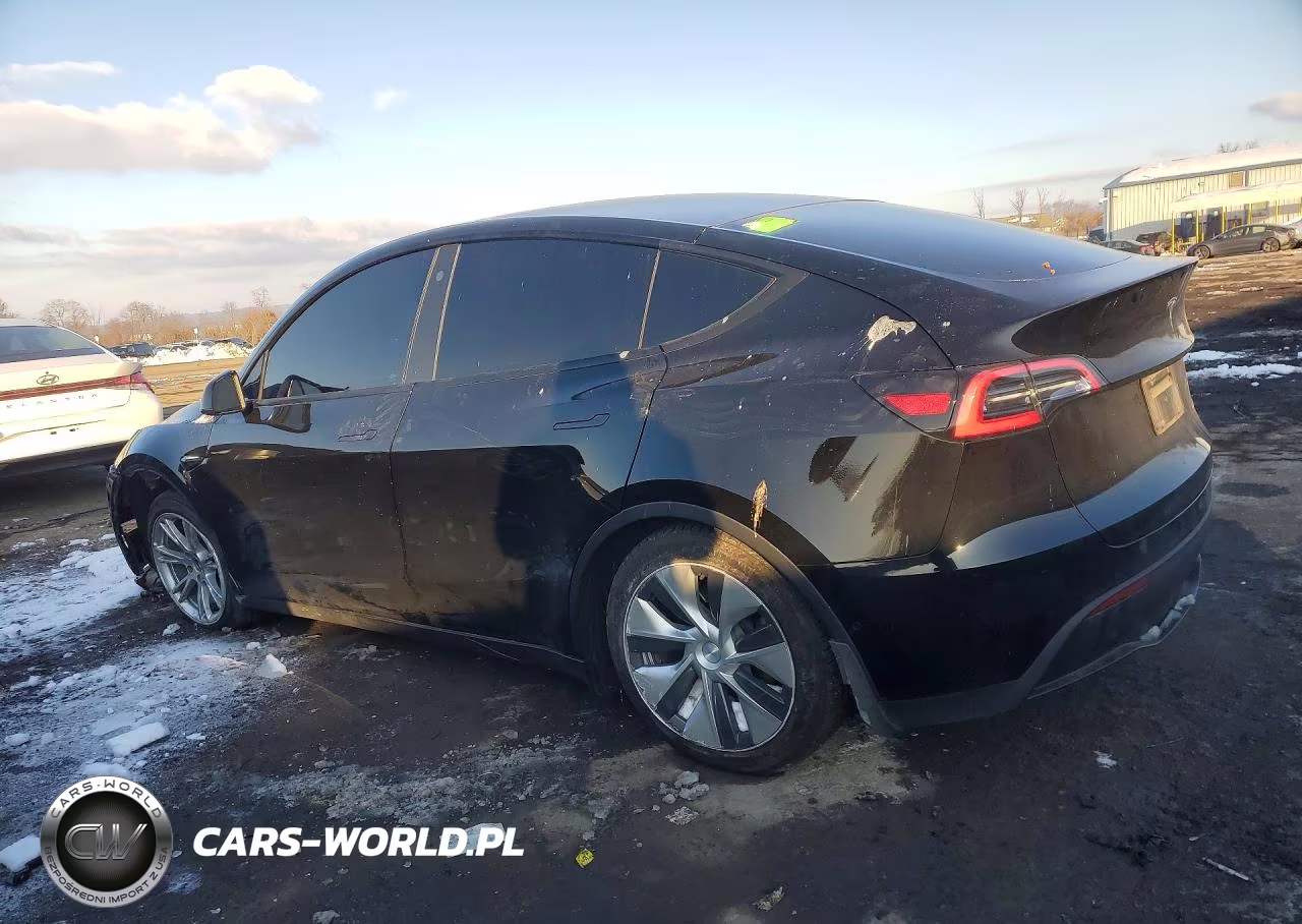2021 Tesla Model Y VIN:5YJYGDEE1MF116969 - 2