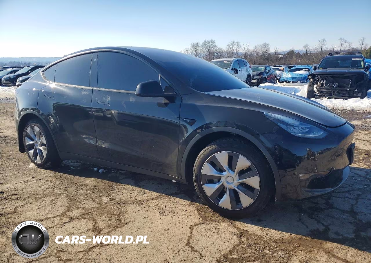 2021 Tesla Model Y VIN:5YJYGDEE1MF116969 - 4