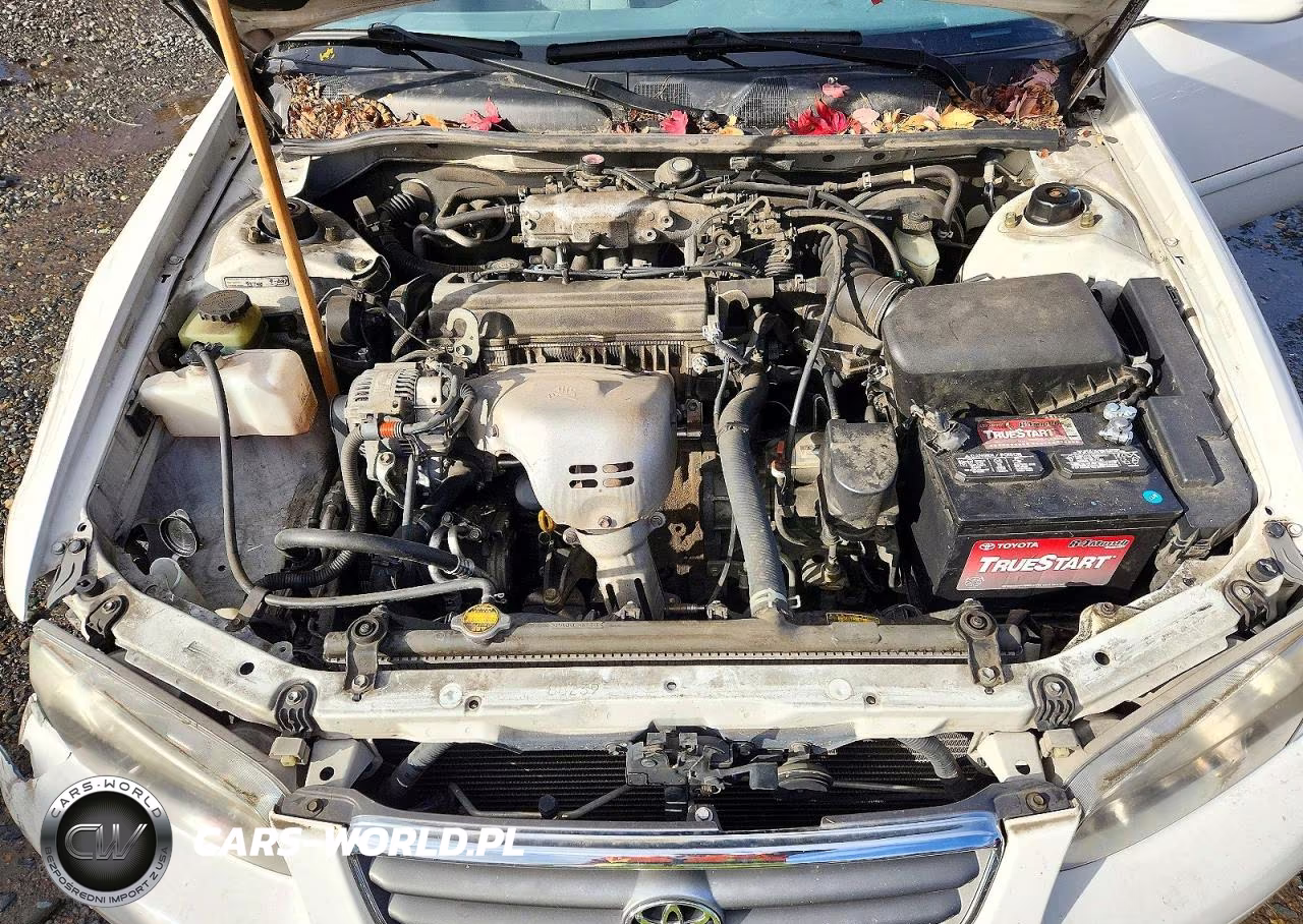 2000 Toyota Camry Le VIN:JT2BG22K4Y0481616 - 11