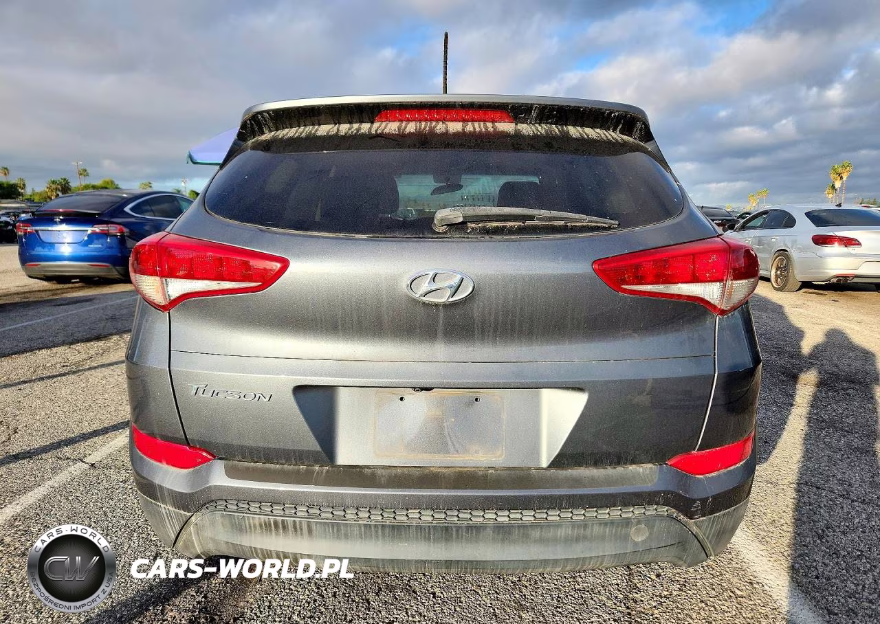 2016 Hyundai Tucson Se VIN:KM8J33A43GU136426 - 6