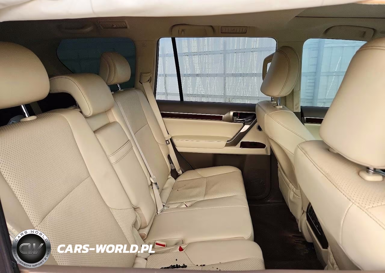 2019 Lexus Gx 460 Premium VIN:JTJJM7FX6K5215844 - 11