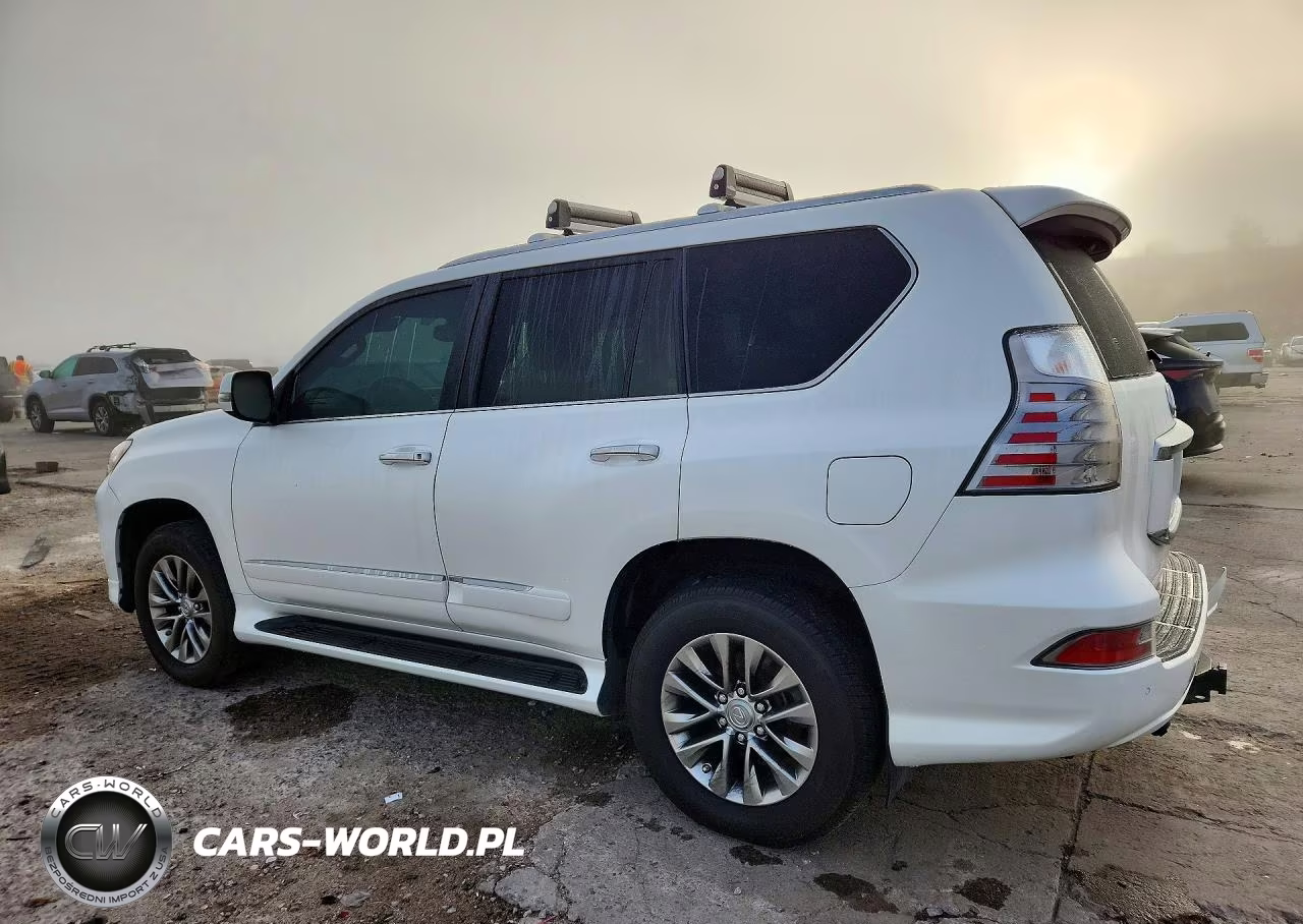 2019 Lexus Gx 460 Premium VIN:JTJJM7FX6K5215844 - 2