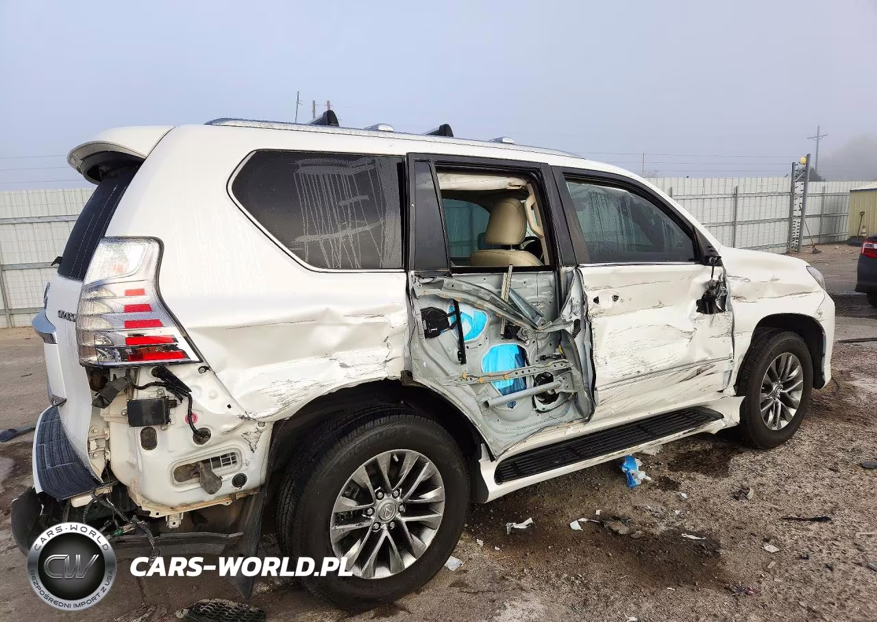 2019 Lexus Gx 460 Premium VIN:JTJJM7FX6K5215844 - 3