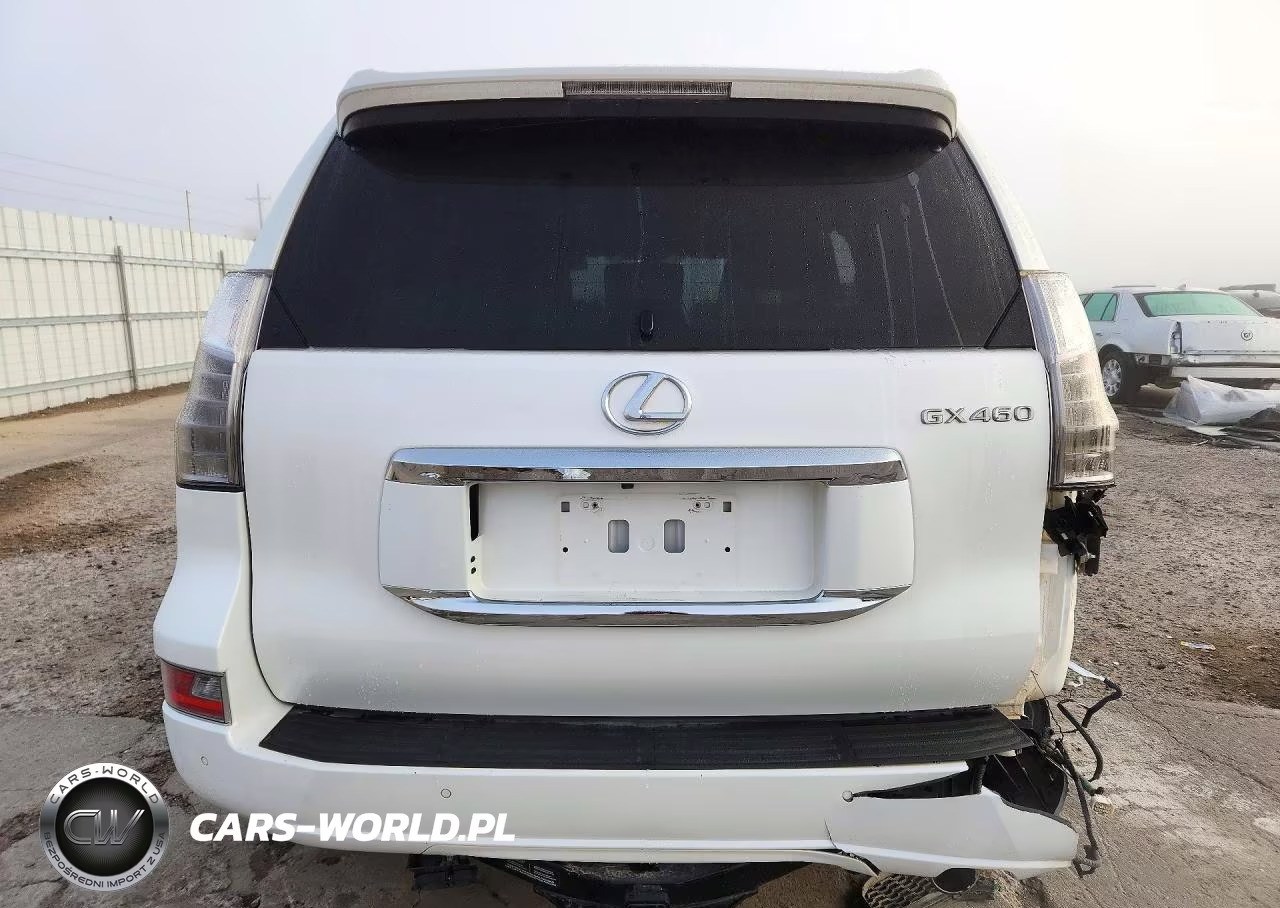 2019 Lexus Gx 460 Premium VIN:JTJJM7FX6K5215844 - 6