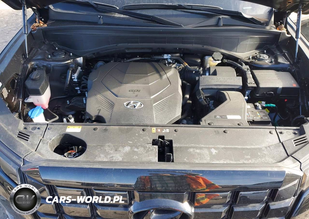 2025 Hyundai Palisade Xrt VIN:KM8R3DGEXSU948663 - 12