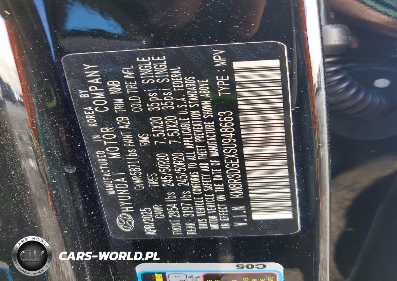 2025 Hyundai Palisade Xrt VIN:KM8R3DGEXSU948663 - 13