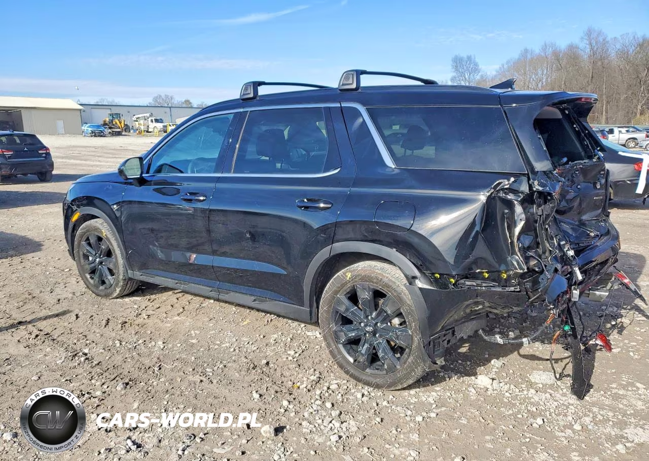 2025 Hyundai Palisade Xrt VIN:KM8R3DGEXSU948663 - 2
