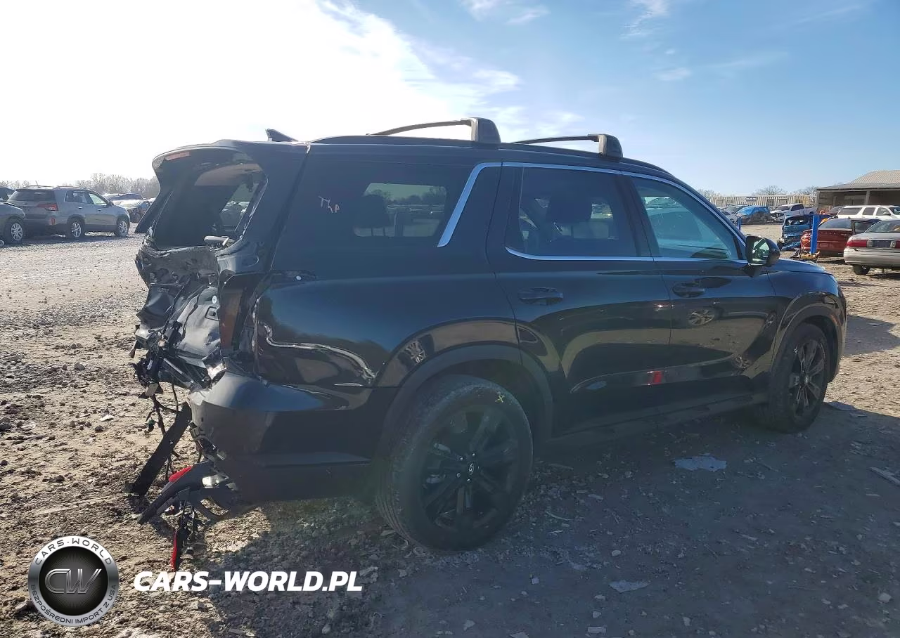 2025 Hyundai Palisade Xrt VIN:KM8R3DGEXSU948663 - 3