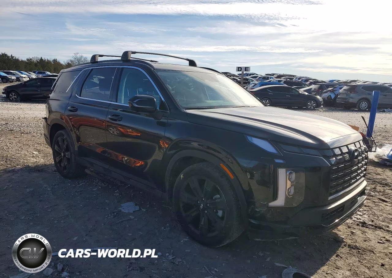 2025 Hyundai Palisade Xrt VIN:KM8R3DGEXSU948663 - 4