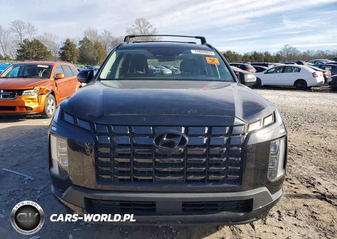2025 Hyundai Palisade Xrt VIN:KM8R3DGEXSU948663 - 5