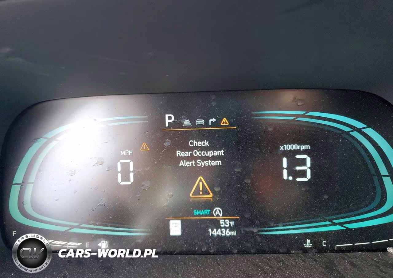 2025 Hyundai Palisade Xrt VIN:KM8R3DGEXSU948663 - 9