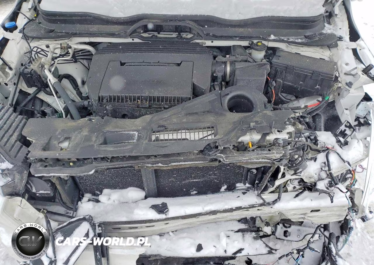 2024 Honda Pilot Trailsport VIN:5FNYG1H62RB029236 - 12