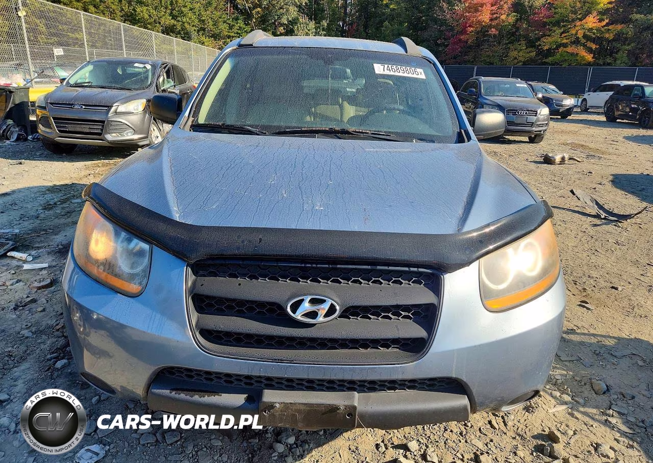 2009 Hyundai Santa Fe Gls VIN:5NMSG13D89H326294 - 5