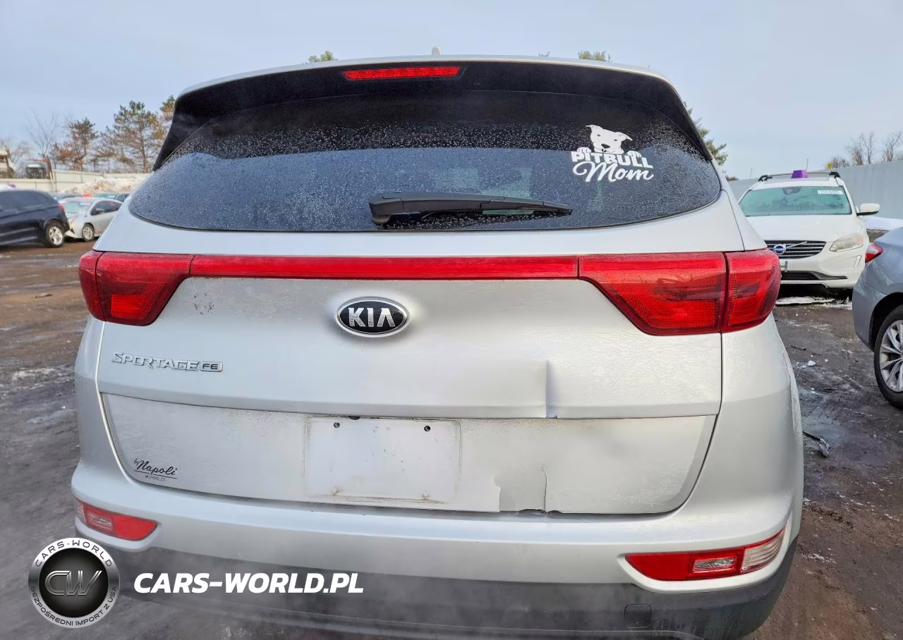 2018 Kia Sportage Lx VIN:KNDPM3ACXJ7443407 - 6