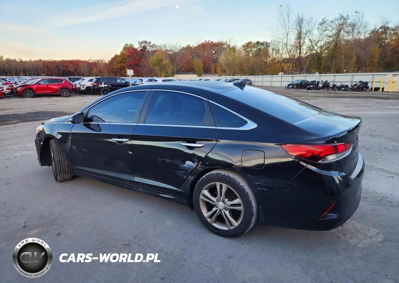 2019 Hyundai Sonata Sel VIN:5NPE34AF6KH806681 - 2