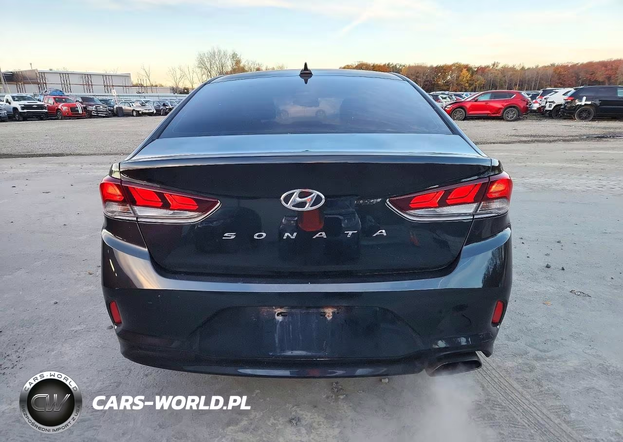 2019 Hyundai Sonata Sel VIN:5NPE34AF6KH806681 - 6