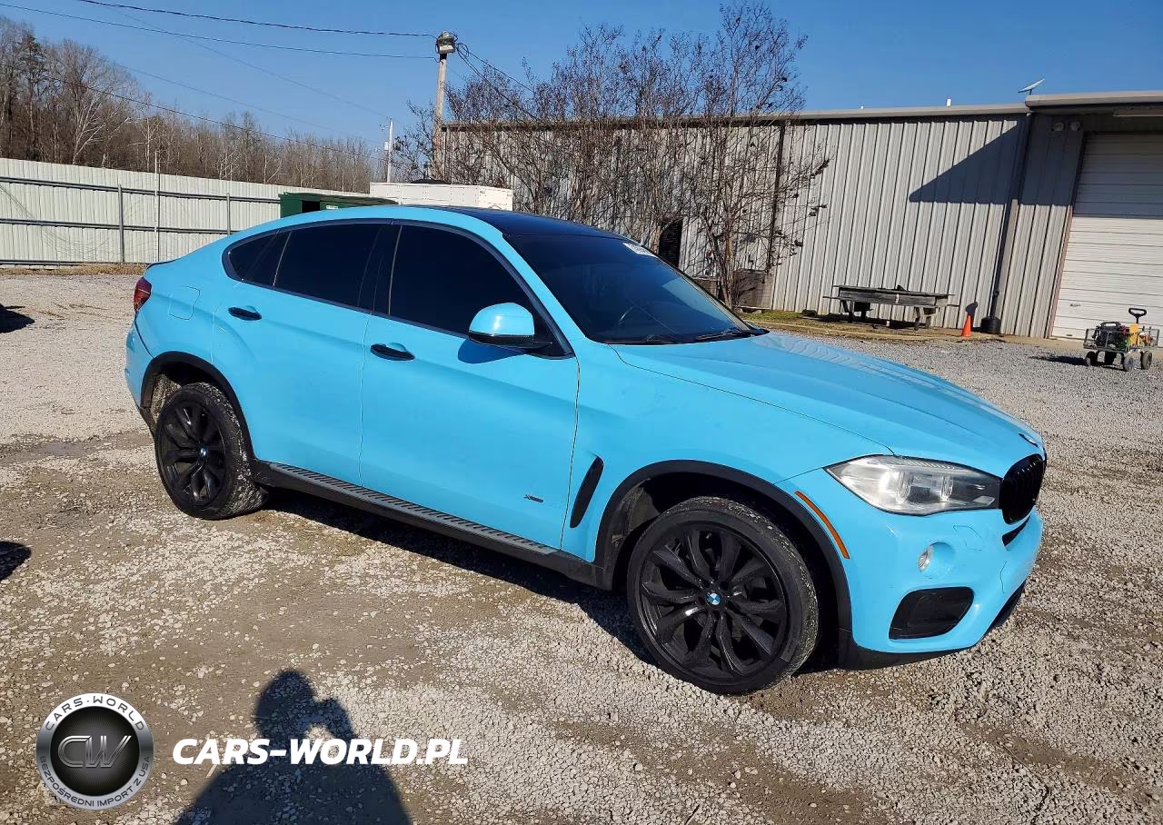2016 BMW X6 xDrive35I VIN:5UXKU2C5XG0N78499 - 4