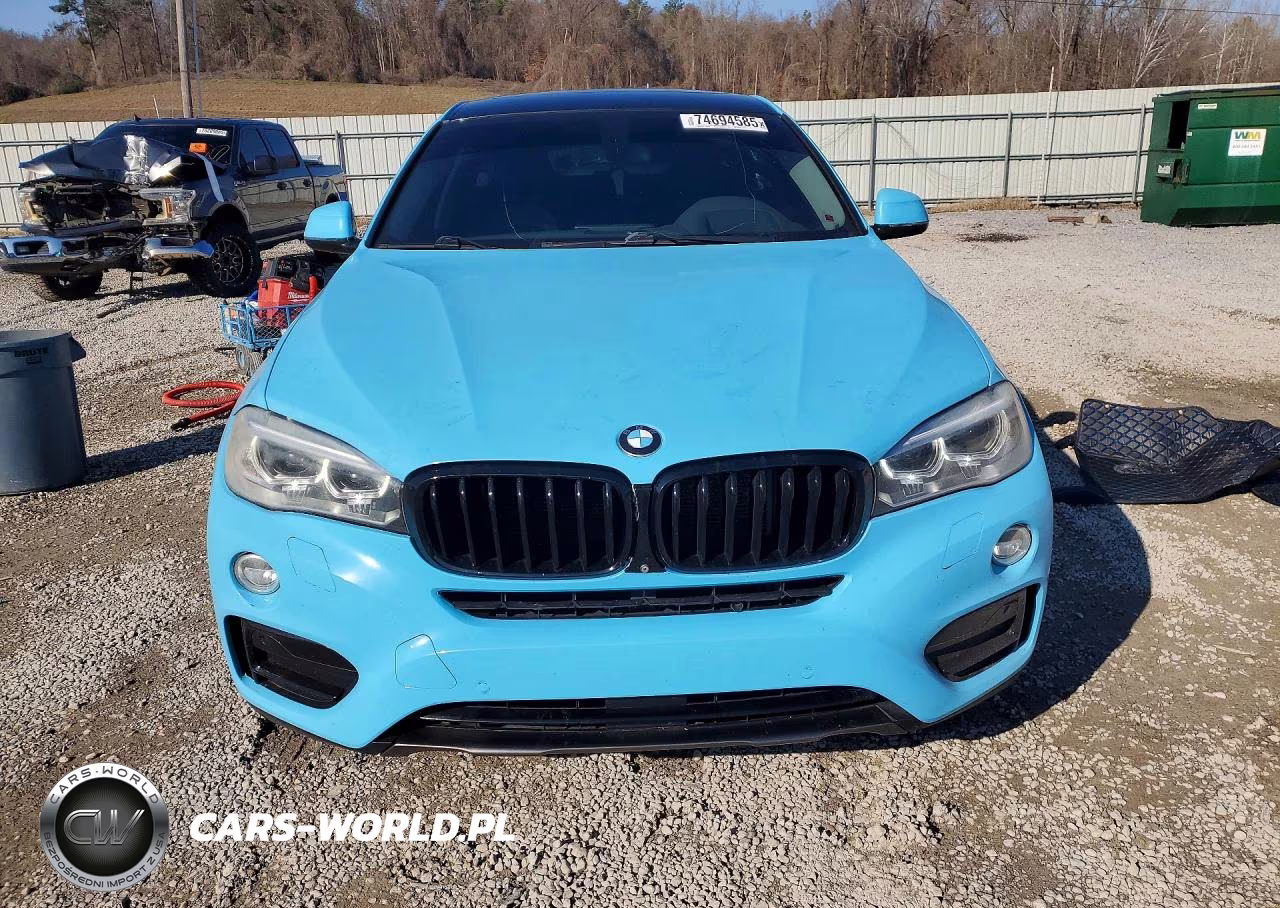 2016 BMW X6 xDrive35I VIN:5UXKU2C5XG0N78499 - 5