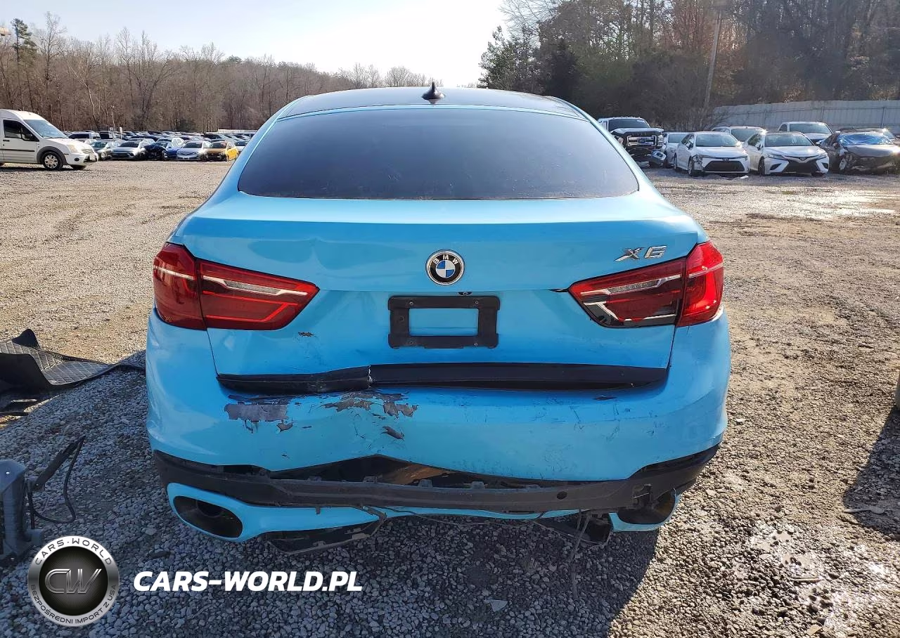 2016 BMW X6 xDrive35I VIN:5UXKU2C5XG0N78499 - 6