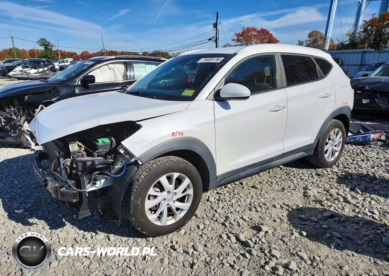 2019 Hyundai Tucson Value VIN:KM8J3CA47KU886341 - 1