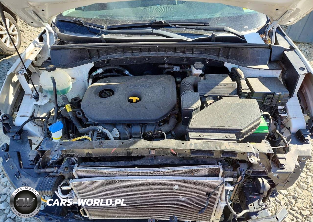 2019 Hyundai Tucson Value VIN:KM8J3CA47KU886341 - 12