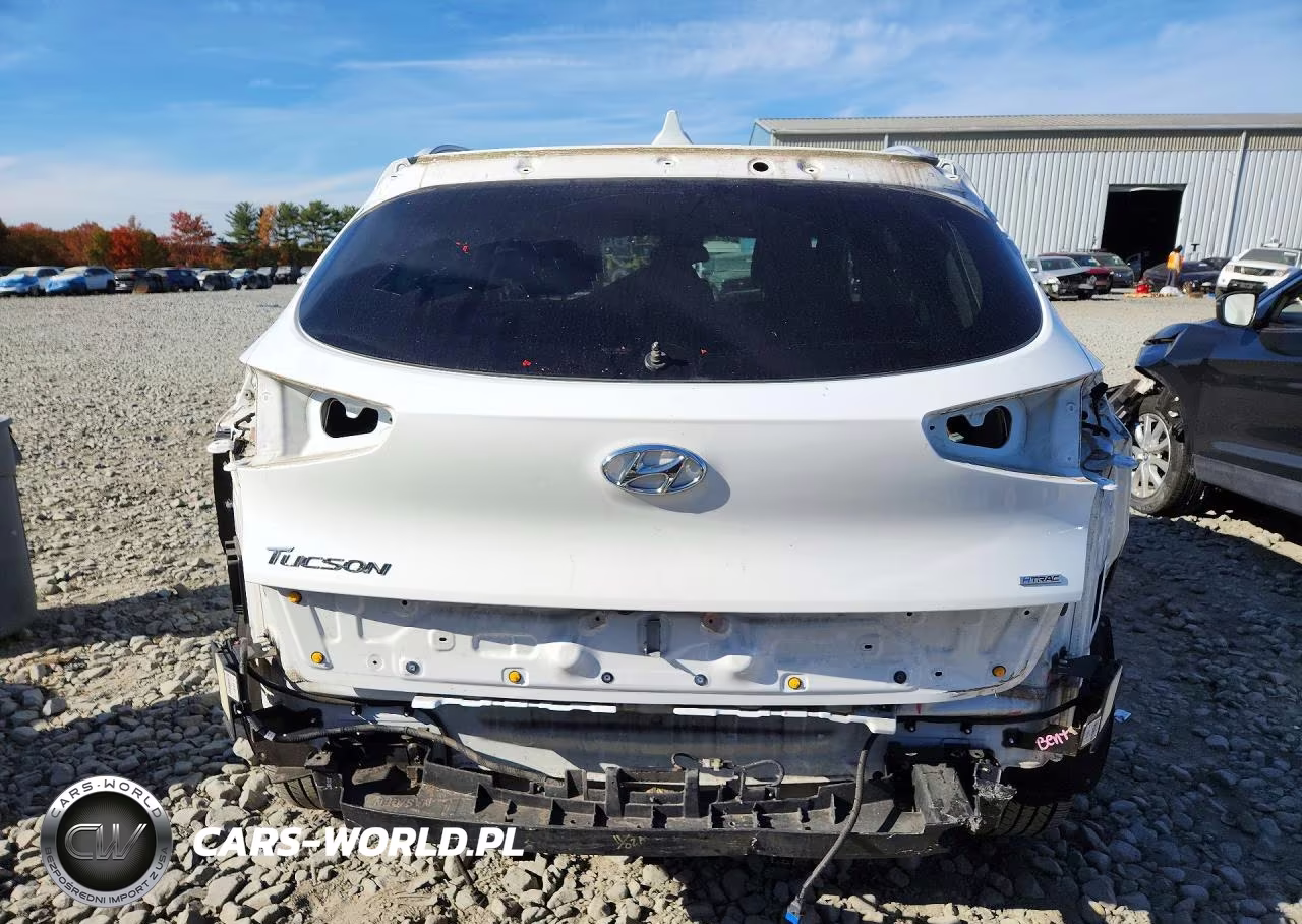 2019 Hyundai Tucson Value VIN:KM8J3CA47KU886341 - 6