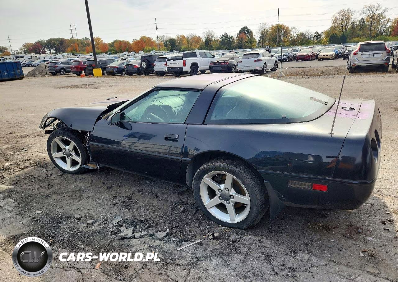 1995 Chevrolet Corvette VIN:1G1YY22P0S5111244 - 2