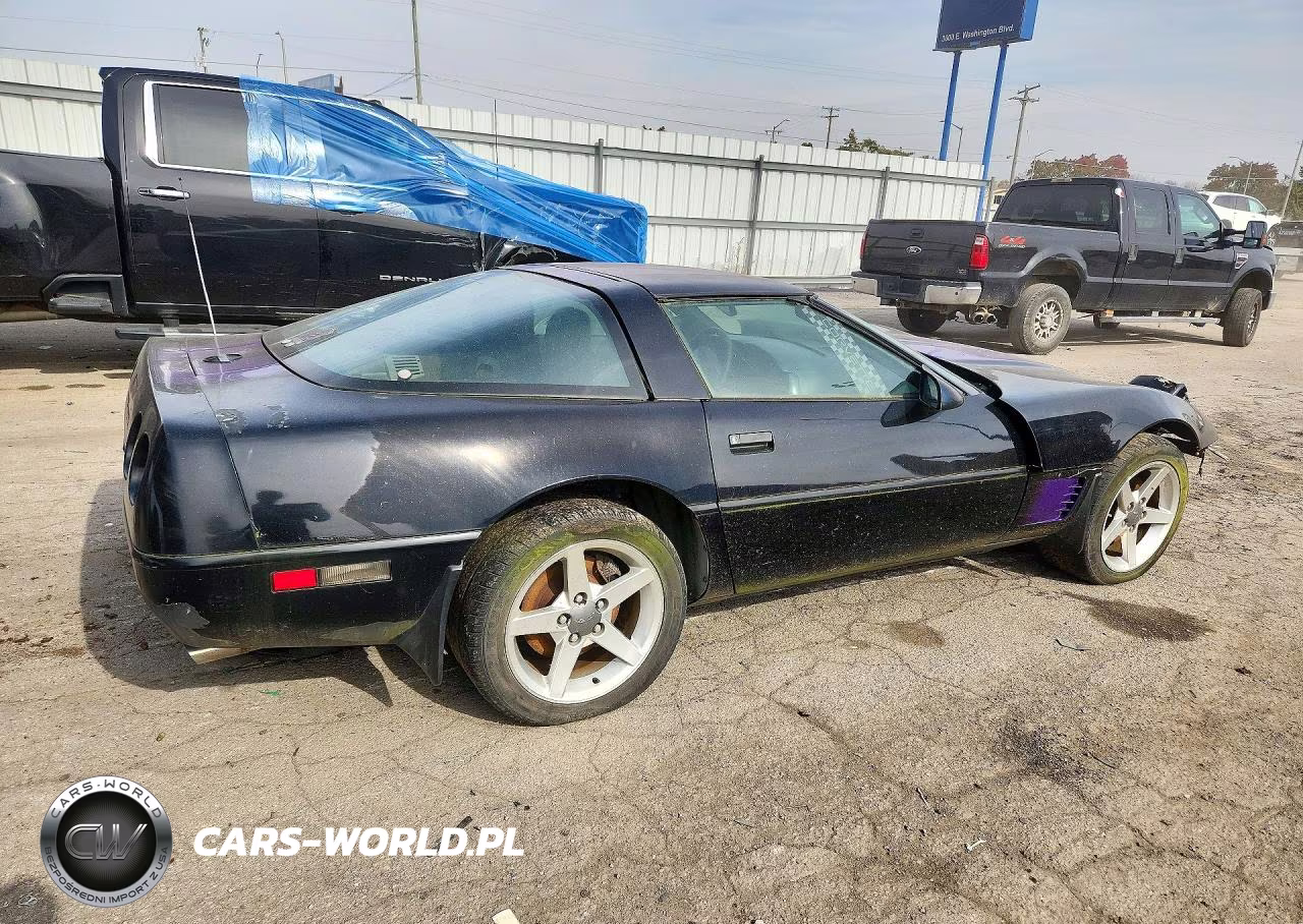 1995 Chevrolet Corvette VIN:1G1YY22P0S5111244 - 3