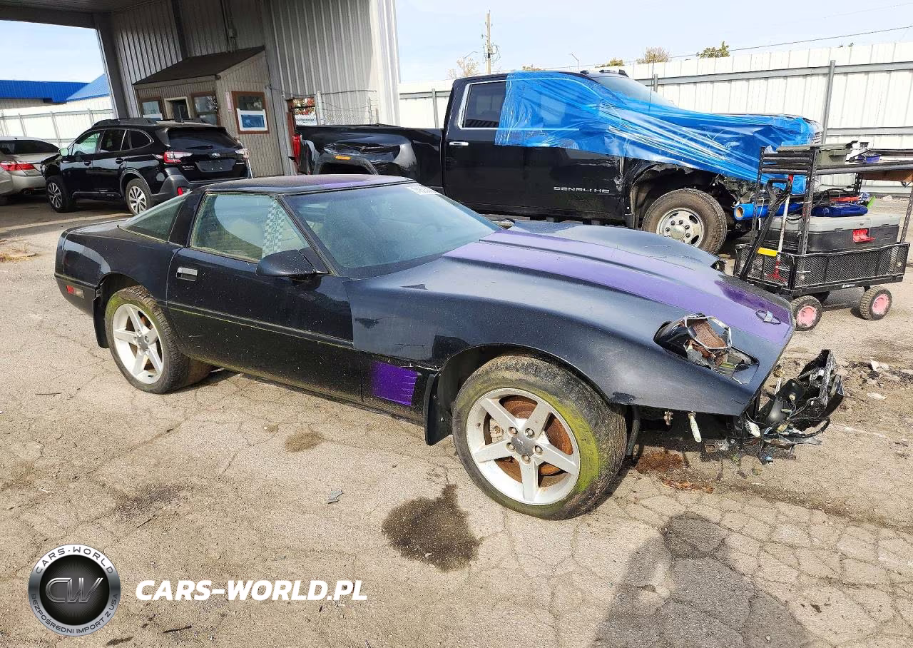 1995 Chevrolet Corvette VIN:1G1YY22P0S5111244 - 4